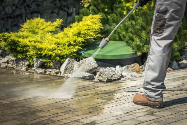Best Driveway Pressure Washing  in Mamou, LA