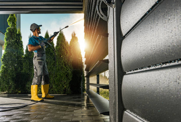 Animal Enclosure Cleaning in Mamou, LA